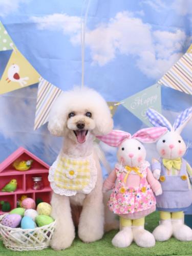 20240319ピッピちゃん